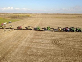 The combines of Harms’ friends and neighbours lined up (PHOTO BY ROB HARMS VIA TWITTER)