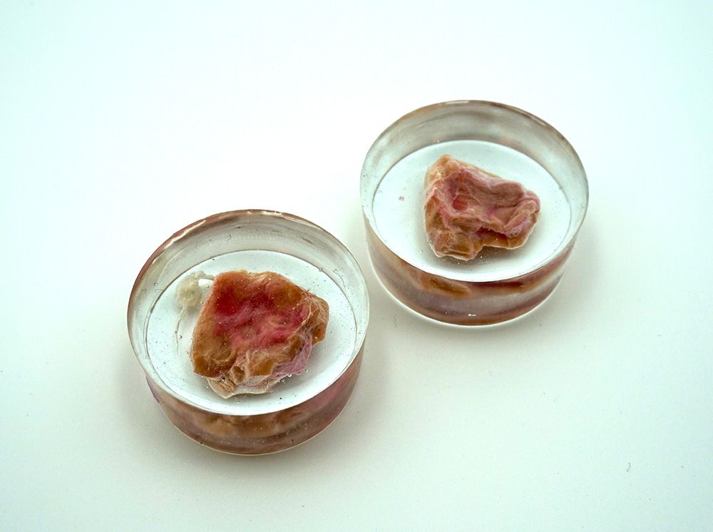 You are what you eat: DIY human steak installation ignites debate