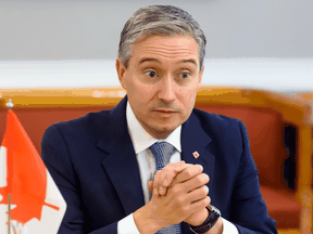 Foreign Affairs Minister François-Philippe Champagne was warned by his staff that China has "demonstrated readiness and ability to use aggressive political and economic measures to punish Canada."