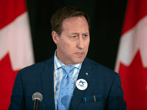 Conservative leadership candidate Peter MacKay says he has made the "difficult" decision not to resume his political career.