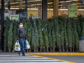 A pedestrian walks past Christmas trees for sale in Mississauga, Thursday November 19, 2020.