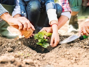 Growing your own produce is both satisfying and helpful to your budget.