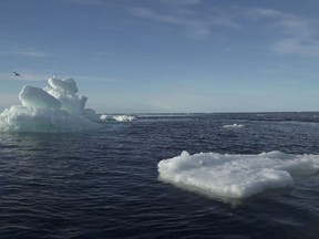 Floating ice is seen during the expedition of the The Greenpeace's Arctic Sunrise ship at the Arctic Ocean, September 14, 2020.
