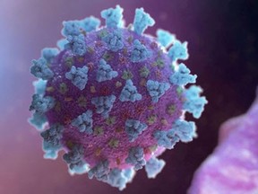 A computer image created by Nexu Science Communication together with Trinity College in Dublin, shows a model structurally representative of the coronavirus linked to COVID-19. Nothing and no one impacted the world more in 2020 than the pandemic, writes Rex Murphy.