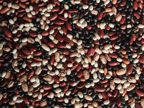 Ontario bean growers produce a variety of delicious options for your meals: navy beans, black beans, dark red kidney beans, light red kidney beans, white kidney beans, Romano beans, adzuki beans, otebo beans, and small red beans.