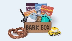 Themed Bark Box