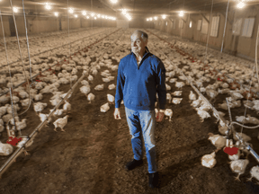 Marvin Ungerman — standing among his chickens at Sharvin Farms in Port Perry — is leaving the business, ending a 100-year family dynasty.