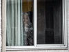 Elizabeth Jeppesen, 94, who tested positive for COVID-19, waves goodbye to her son John Welbers from her room at Tabor Home, a long-term care facility in Abbotsford, B.C., on November 18, 2020.