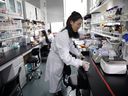 Dr. Shuhui Sun führt am 12. Januar 2021 im Labor für Alterung und Regeneration des Instituts für Stammzellen und Regeneration der Chinesischen Akademie der Wissenschaften (CAS) in Peking, China, eine histologische Färbung der Mausleber zur pathologischen Analyse durch. 