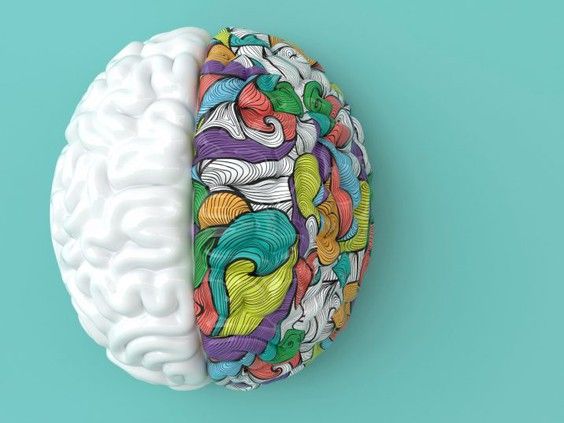 Each entrepreneur chose his or her best idea and its originality and feasibility were rated by a panel of experts. / PHOTO BY MERANNA / ISTOCK / GETTY IMAGES PLUS