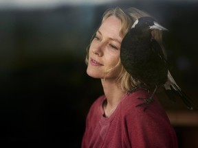 Naomi Watts and one of her many magpie costars in Penguin Bloom.