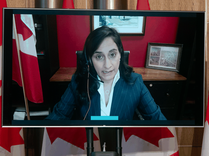  Procurement Minister Anita Anand announces a delay to COVID vaccine delivery via videoconference, Friday, January 15, 2021 in Ottawa.