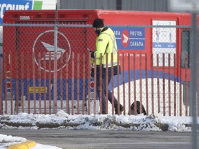 Canada Post's delivery rates make it difficult for small and medium-sized businesses to compete with Amazon for online business, writes Stephan Logan, CEO of Indigo Instruments in Waterloo, Ont.