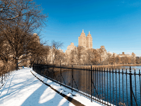 How grand it would be to take the grandchildren to New York, to see a Broadway play and ice skate in Central Park.