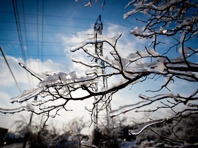 Ice and snow cling to a tree near a powerline in Toronto in a file photo from Dec. 26, 2013. Canadians, like our American neighbours, have approached electrical grid innovation with a “we'll get to it later” mentality, writes Tomas van Stee. "The Texas experience reminds us that we need to be agile innovators."