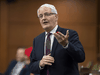 Foreign Affairs Minister Marc Garneau: “This is an incredibly important moment, when all these countries agree that the practice of arbitrary detention is immoral and illegal.”