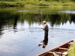 Fishing for Atlantic salmon on the Miramichi River in New Brunswick.