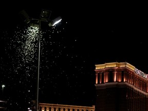 Grasshoppers swarm a light a few blocks off the Strip on July 26, 2019 in Las Vegas, Nevada.