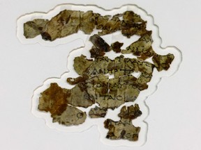 Recently-discovered 2000-year-old biblical scroll fragments from the Bar Kochba period, are displayed at the Israel Antiquities Authority's (IAA) Dead Sea conservation lab in Jerusalem, on March 16, 2021, after completion of preservation work. Israel described the find, which includes a cache of rare coins, a six-millennia-old skeleton of a child and basket it described as the oldest in the world, at over 10,000 years, as one of the most significant since the Dead Sea Scrolls. The fragments, found following a survey in a desert area spanning southern Israel and the occupied West Bank, include passages in Greek from the Book of the Twelve Minor Prophets including the books of Zechariah and Nahum, the IAA said.