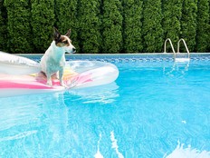 Even the pups need a place to cool off and have fun.