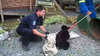 Bryce Casavant prepares to transfer one of the two cubs to the wildlife centre.