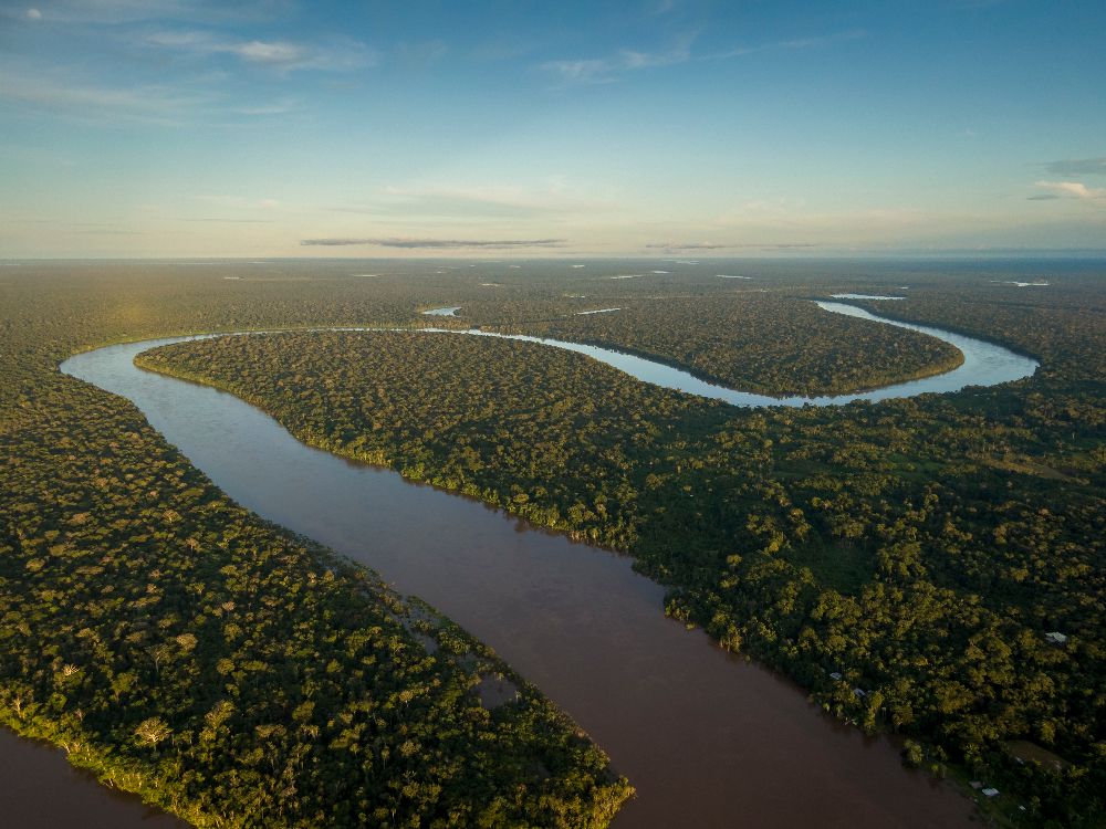 Parts of Amazon rainforest are illegally sold on Facebook: Report ...