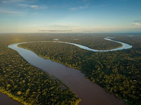 Some parts of the rainforest that were deforested for trade belong to indigenous communities, which are used for hunting, fishing, and fruit gathering.