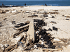 Clumps of tar are seen on the sand an after an offshore oil spill drenched much of Israel’s Mediterranean shoreline with tar, at a beach in Ashdod, Israel February 21,