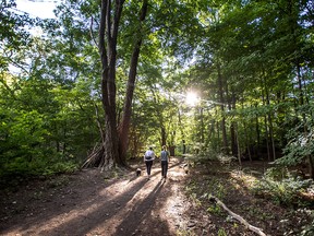 Women walk through the Blythwood Ravine in Toronto in a file photo from Sept. 17, 2018.