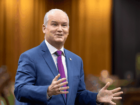 Federal Conservative leader Erin O'Toole has repeatedly promised his climate plan will be more robust the one the party ran on in the 2019 election.