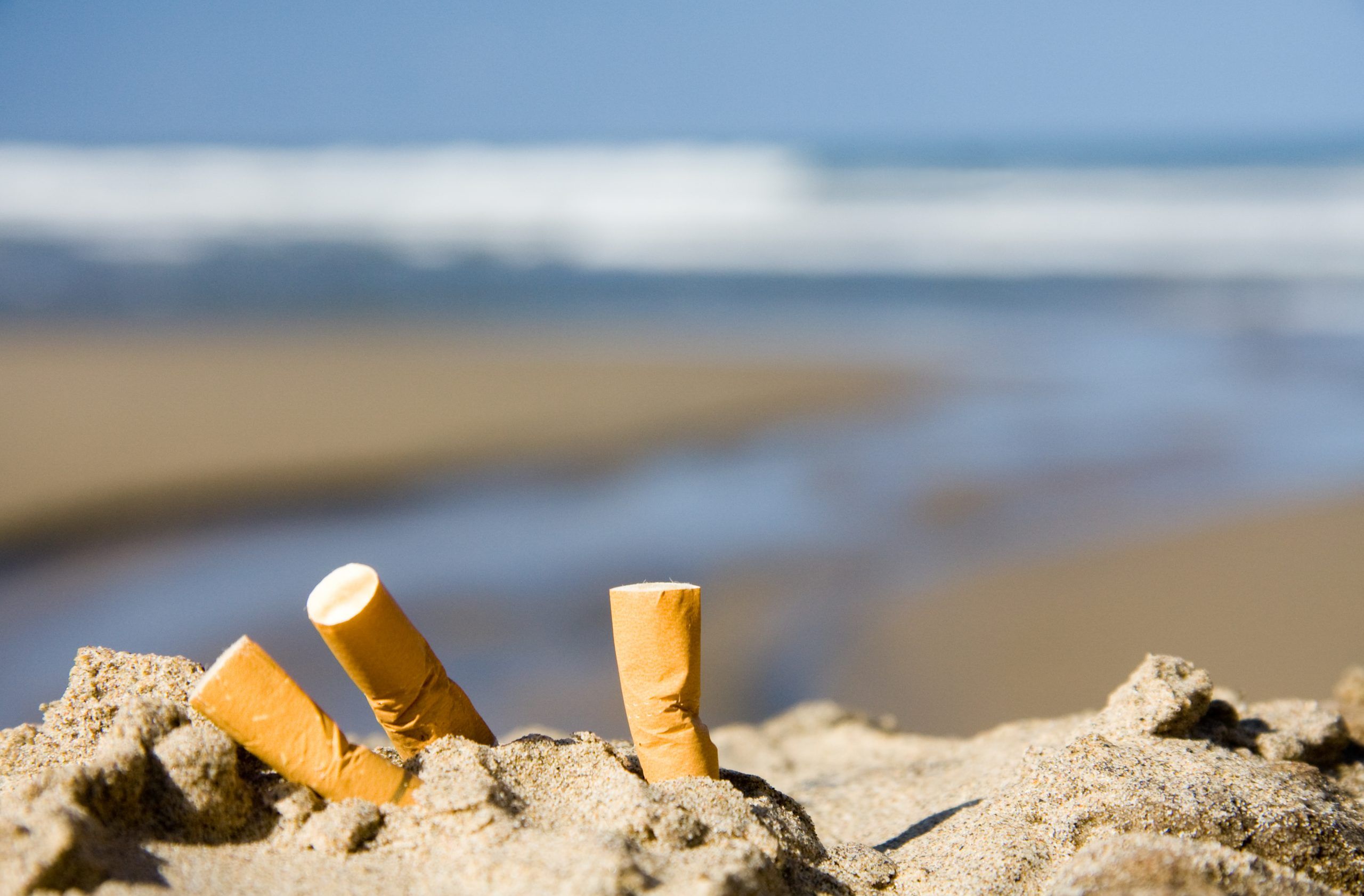 Nationwide initiatives tackling Canada s cigarette butt problem