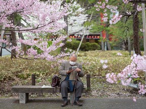 A man reads amidst blossoming cherry trees in Tokyo on March 22, 2021. Rex Murphy recommends reading the A.E. Housman poem Loveliest of Trees to take a pause from the worries of the pandemic.