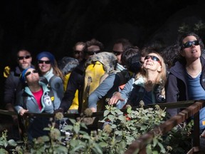 Volunteers leave the Lombrives cave after spending 40 days in the cave in Ussat-les-Bains, southern of France, on April 24, 2021. - After 40 days "out of time" (no watch, telephone or natural light) seven women and eight men aged between 27 and 50 left the Pyrenees cave in which they had voluntarily confined themselves.