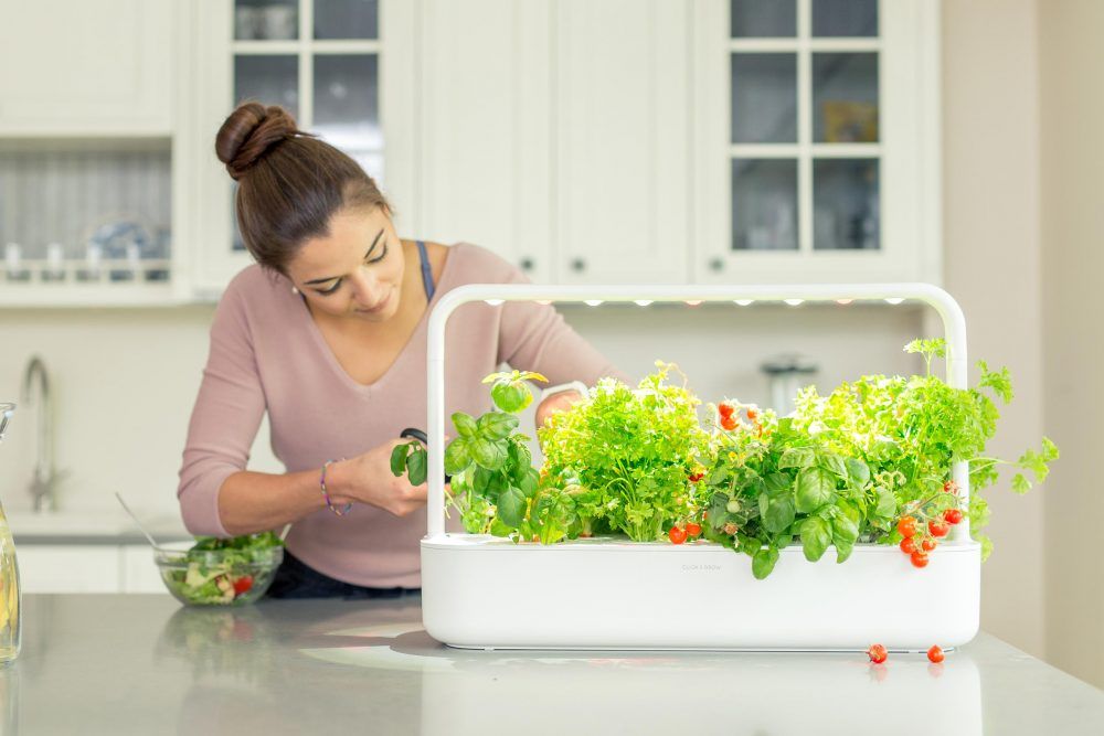 Click Grow is indoor gardening made wildly simple National Post