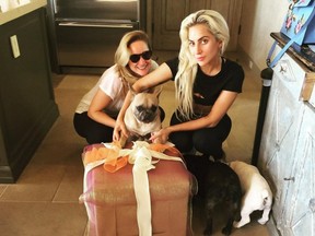 Lady Gaga with her three dogs.