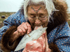 Bessie Omilgoetok of Cambridge Bay cleans the blubber from a seal pelt with her ulu.