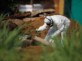 A forensic expert looks for evidence in soil collected where authorities are excavating a clandestine cemetery in Chalchuapa, El Salvador