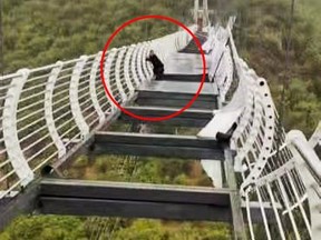 A tourist was trapped 100 metres above the ground on Friday, after winds damaged a glass-bottom bridge in China.