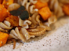 A dish made with mealworms and cooked by French chef Laurent Veyet is seen in his restaurant in Paris, on May 12.