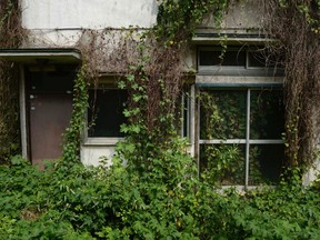 haunted houses japan Overgrown vegetation surrounds a vacant house in the Yato area of Yokosuka City, Kanagawa Prefecture, Japan, in 2013. More than 50 houses and apartments, almost 20 percent of the quaint residential neighbourhood, were empty that year.