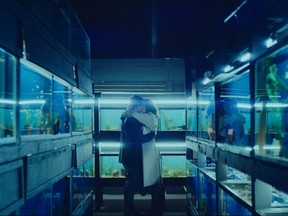 Age of aquarium: Jack O’Connell and Olivia Cooke star in Little Fish.