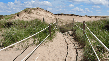 Prince Edward Island National Park is the most heavily used national park in Canada, relative to its size, Amanda Leslie writes.