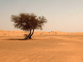 The Sahara Desert is hot, but it's no Lytton, B.C.