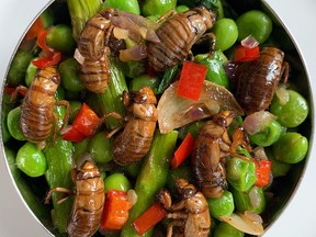 Cicada nymph salad with asparagus, peas, chili, garlic, butter, mint, lemon