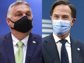 Dutch Prime Minister Mark Rutte has told Hungarian leader Viktor Orban that he must respect LGBTG rights or leave the EU.