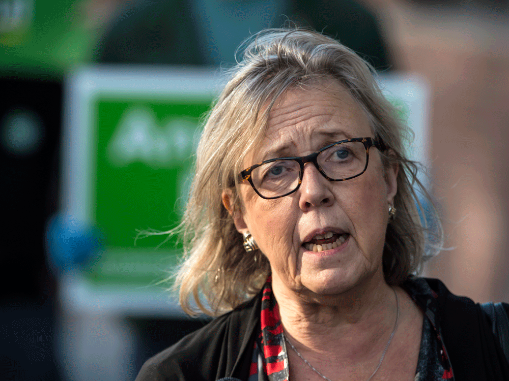 Elizabeth May Would Not Rule Out Serving As Interim Leader To Steady Troubled Greens National Post 4474