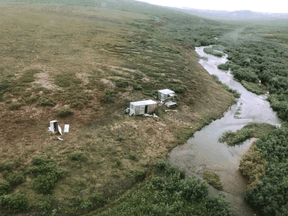 The frontiersman was attacked at a remote mining camp, about 65 km from Nome, where he had been staying in a shack since July 12.