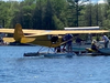 Quick thinking by the cottagers meant this plane hurt only their canoe.
