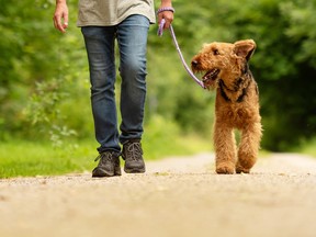 Mike Boone’s first furry companion was an Airedale, Toby, who stood watch over him as a baby in Saint John, N.B.