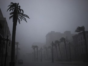 Palm trees sway during Hurricane Ida in New Orleans, Louisiana, U.S., on Sunday, Aug. 29, 2021.